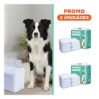 Pack2 Banda Absorbente Comoda para Uso en Casa Perro Macho Talla L Verde Y+Regalo Sticker